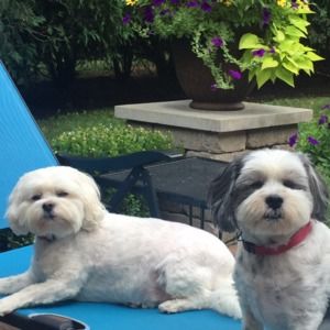 Meet your Posher, Susan